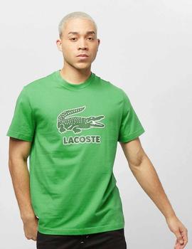 CAMISETA LACOSTE VERDE CON LOGO CRAQUELADO