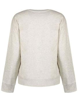 SUDADERA GRAPHIC STANDARD GRIS