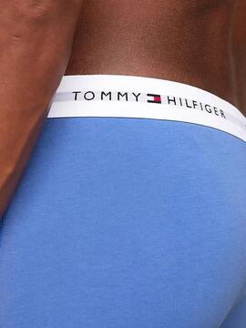 BOXER 3 PACK WB TRUNK AZUL, ROSA Y NARANJA