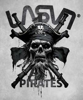 CAMISETA DE HOMBRE LASAL PIRATES BLANCA
