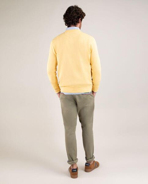 Gallery a13640 paw1xcbh