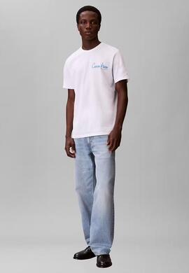 CAMISETA WHOLESALE JEANS GRAPHICS REGULAR FIT BRIG