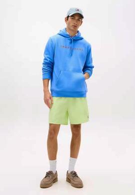 SUDADERA CON CAPUCHA REGULAR FIT LINEAR LOGO BLUE