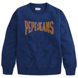 SCOTT REGULAR FIT BLUEING